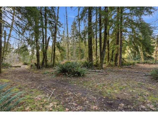 1250 YALE BRIDGE Rd, Amboy, WA 98601