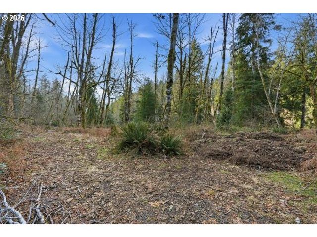 1250 YALE BRIDGE Rd, Amboy, WA 98601