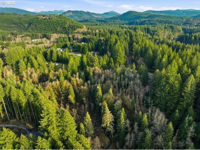 1250 YALE BRIDGE Rd, Amboy, WA 98601