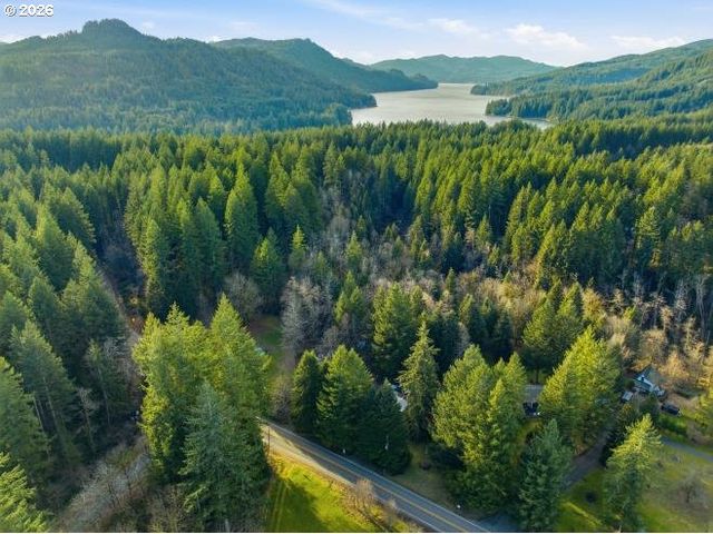 1250 YALE BRIDGE Rd, Amboy, WA 98601