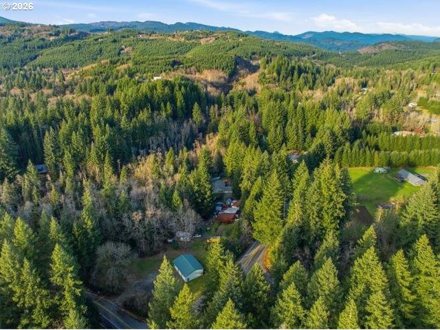 1250 YALE BRIDGE Rd, Amboy, WA 98601