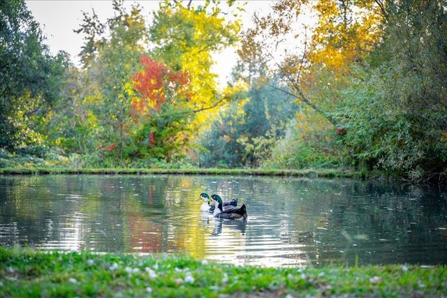 1770 Millertown Rd, Auburn, CA 95603