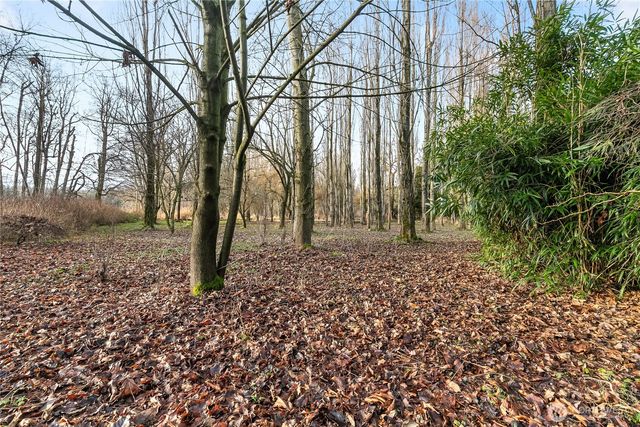 7406 Oat Coles Road, Everson, WA 98247