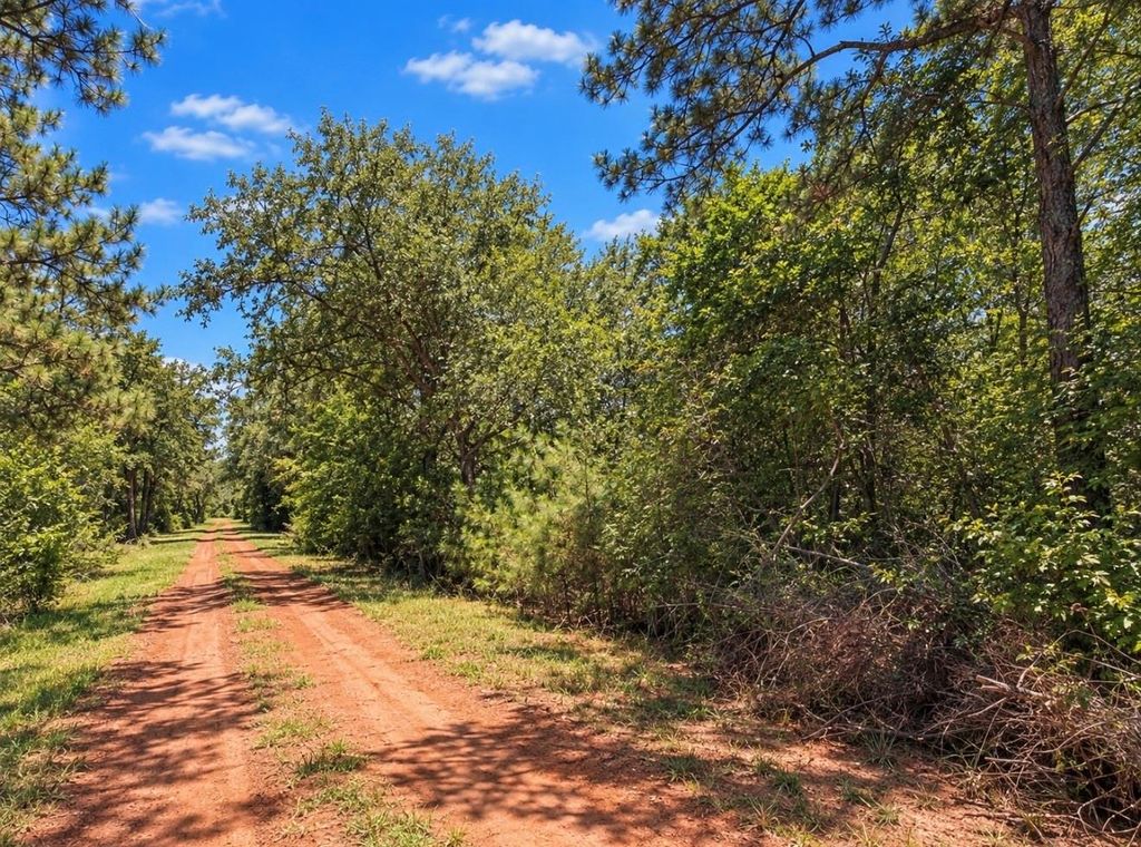 00 Deerwood Dr, Hempstead, TX 77445