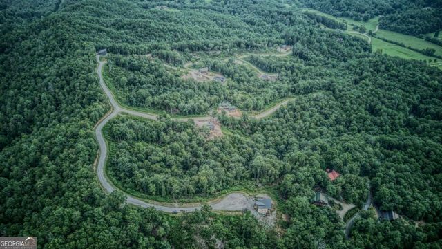 LOT 49 Mountain Laurel Ridge, Mineral Bluff, GA 30559