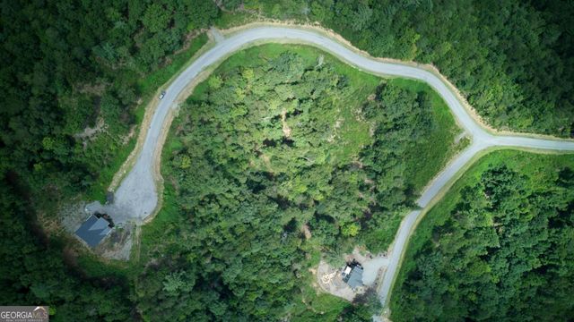LOT 49 Mountain Laurel Ridge, Mineral Bluff, GA 30559