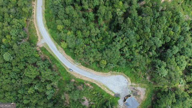 LOT 49 Mountain Laurel Ridge, Mineral Bluff, GA 30559