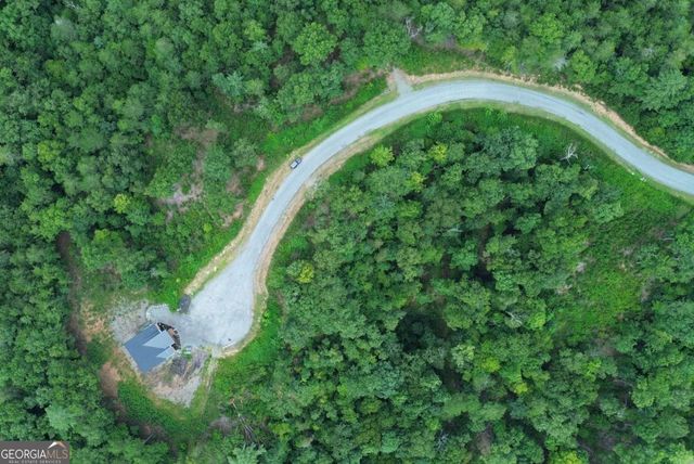 LOT 49 Mountain Laurel Ridge, Mineral Bluff, GA 30559