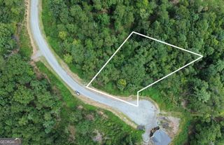 LOT 49 Mountain Laurel Ridge, Mineral Bluff, GA 30559