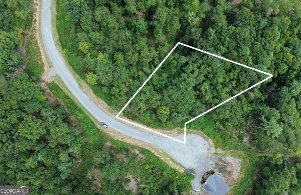 LOT 49 Mountain Laurel Ridge, Mineral Bluff, GA 30559