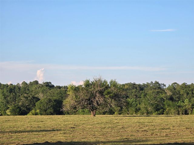 TBD Hwy 150 W, Coldspring, TX 77331