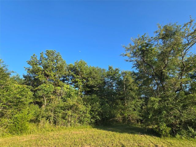 TBD Hwy 150 W, Coldspring, TX 77331