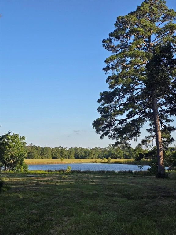 TBD Hwy 150 W, Coldspring, TX 77331