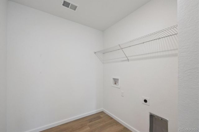 5717 Brangus Drive, Windsor, CO 80528