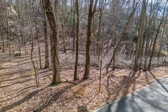 Lot 7 Squirrel Hunting Road, Morganton, GA 30560