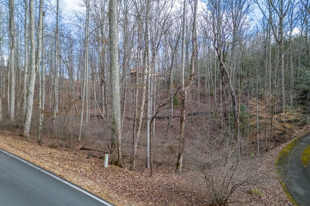Lot 7 Squirrel Hunting Road, Morganton, GA 30560