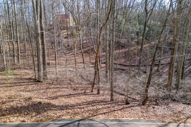 Lot 7 Squirrel Hunting Road, Morganton, GA 30560
