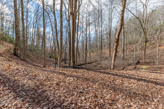 Lot 7 Squirrel Hunting Road, Morganton, GA 30560