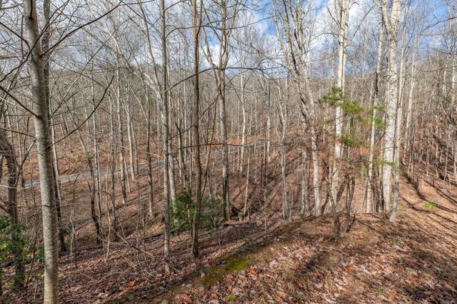 Lot 7 Squirrel Hunting Road, Morganton, GA 30560