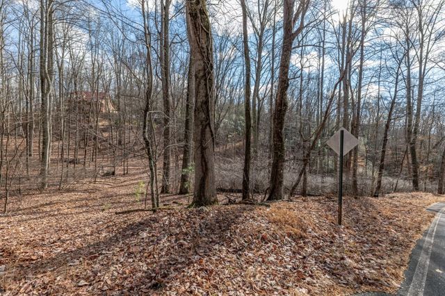 Lot 7 Squirrel Hunting Road, Morganton, GA 30560