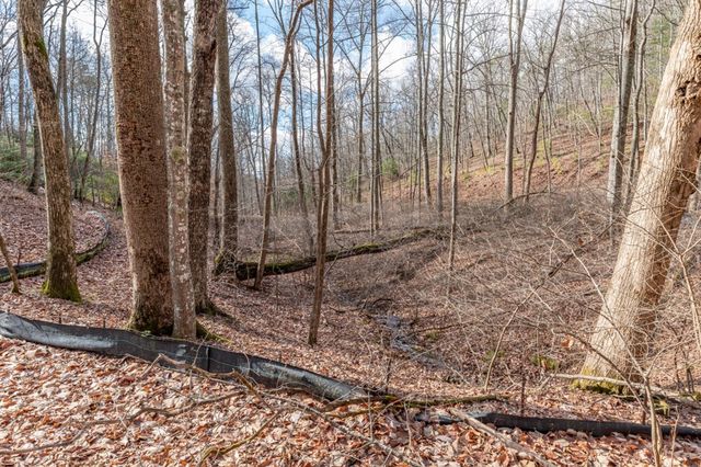Lot 7 Squirrel Hunting Road, Morganton, GA 30560
