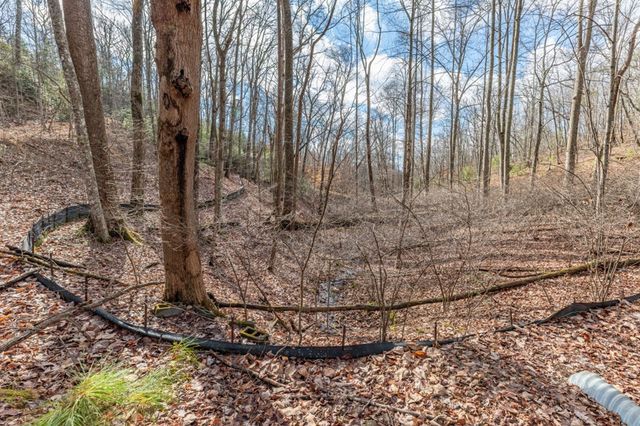 Lot 7 Squirrel Hunting Road, Morganton, GA 30560