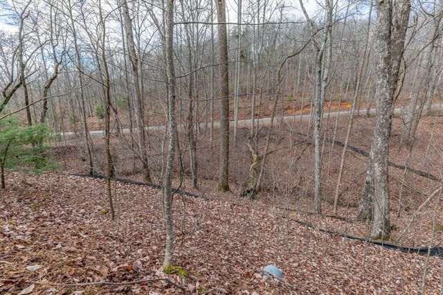 Lot 7 Squirrel Hunting Road, Morganton, GA 30560