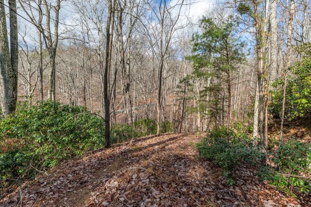 Lot 7 Squirrel Hunting Road, Morganton, GA 30560