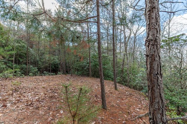 Lot 7 Squirrel Hunting Road, Morganton, GA 30560