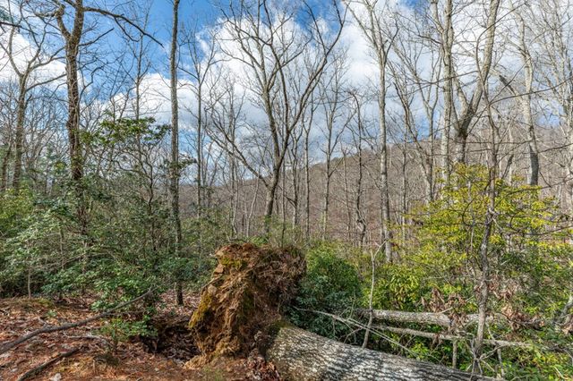 Lot 7 Squirrel Hunting Road, Morganton, GA 30560