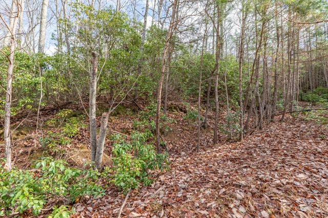 Lot 7 Squirrel Hunting Road, Morganton, GA 30560