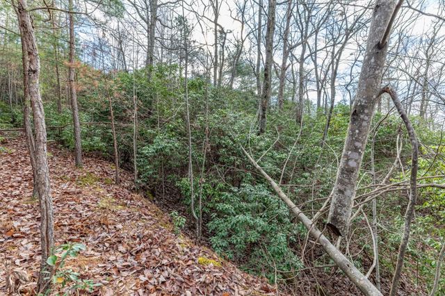Lot 7 Squirrel Hunting Road, Morganton, GA 30560