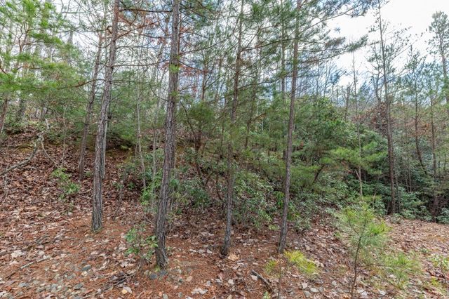 Lot 7 Squirrel Hunting Road, Morganton, GA 30560