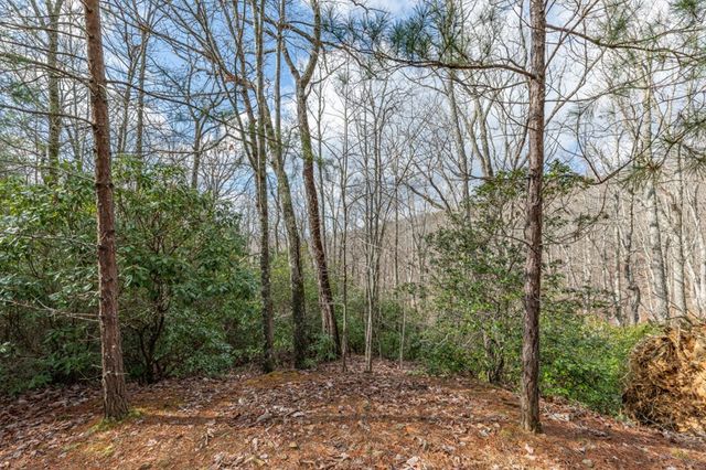 Lot 7 Squirrel Hunting Road, Morganton, GA 30560