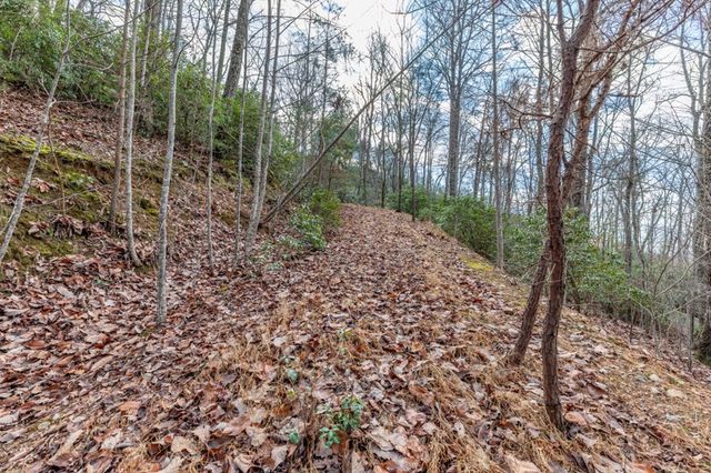Lot 7 Squirrel Hunting Road, Morganton, GA 30560