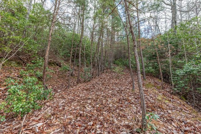 Lot 7 Squirrel Hunting Road, Morganton, GA 30560