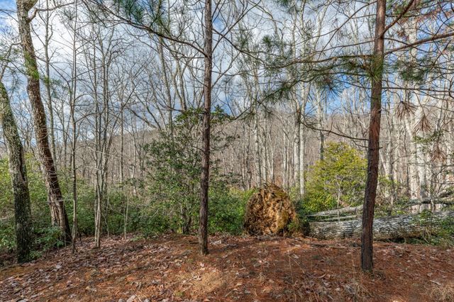 Lot 7 Squirrel Hunting Road, Morganton, GA 30560