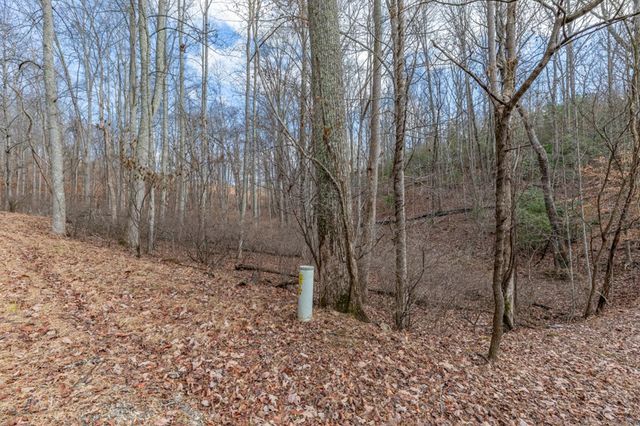 Lot 7 Squirrel Hunting Road, Morganton, GA 30560