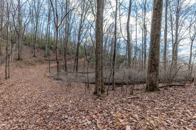 Lot 7 Squirrel Hunting Road, Morganton, GA 30560