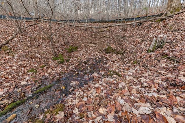 Lot 7 Squirrel Hunting Road, Morganton, GA 30560