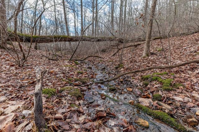 Lot 7 Squirrel Hunting Road, Morganton, GA 30560