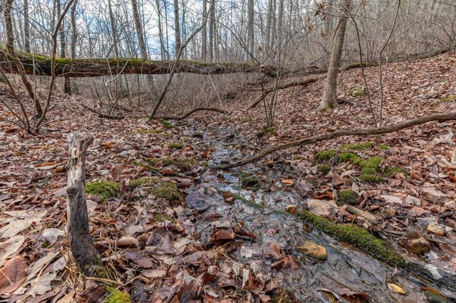 Lot 7 Squirrel Hunting Road, Morganton, GA 30560