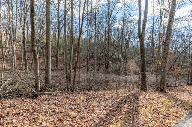 Lot 7 Squirrel Hunting Road, Morganton, GA 30560