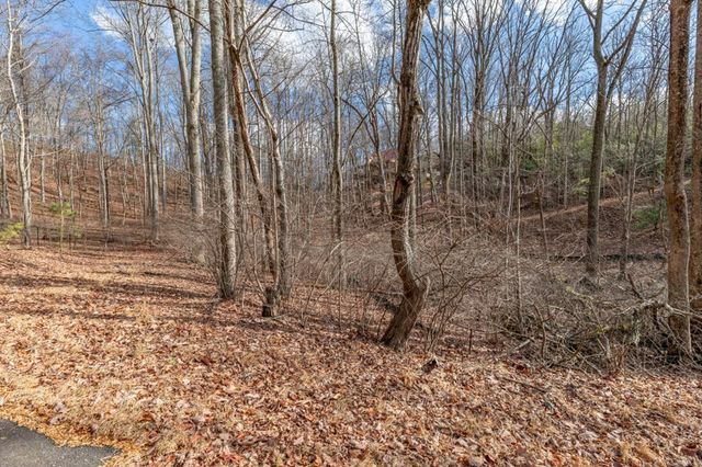 Lot 7 Squirrel Hunting Road, Morganton, GA 30560