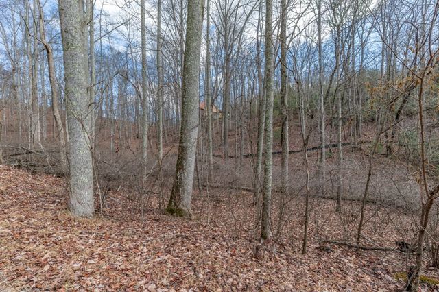 Lot 7 Squirrel Hunting Road, Morganton, GA 30560