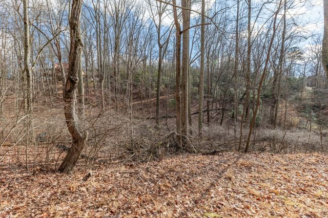 Lot 7 Squirrel Hunting Road, Morganton, GA 30560