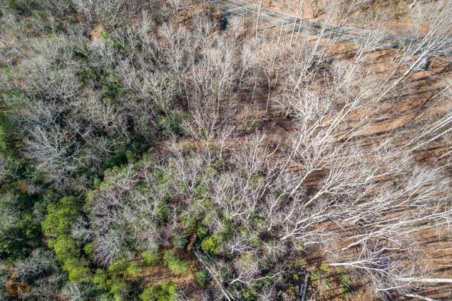 Lot 7 Squirrel Hunting Road, Morganton, GA 30560