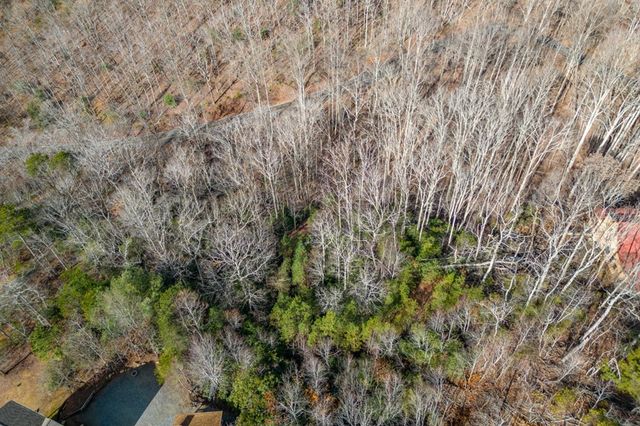 Lot 7 Squirrel Hunting Road, Morganton, GA 30560