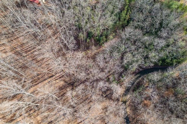 Lot 7 Squirrel Hunting Road, Morganton, GA 30560