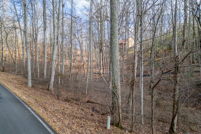 Lot 7 Squirrel Hunting Road, Morganton, GA 30560